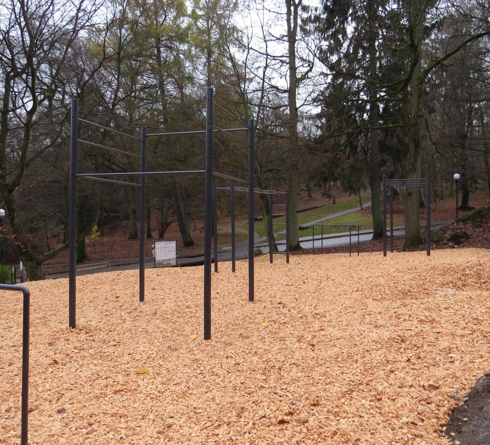 Slottsskogens Utegym 2.jpg